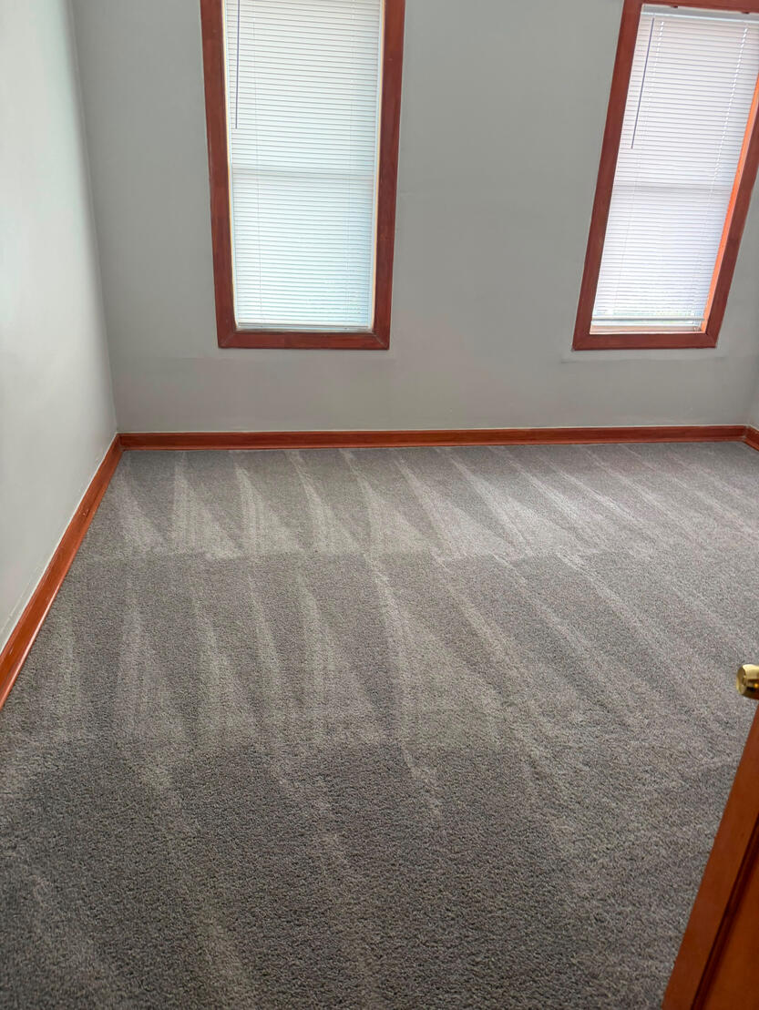 Carpet Cleaning